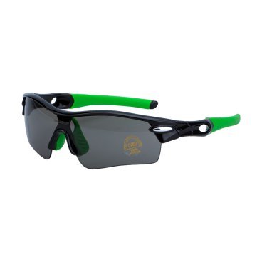 Очки велосипедные Vinca Sport, cо сменными линзами, черная оправа с зелеными вставками, VG 02 black/green
