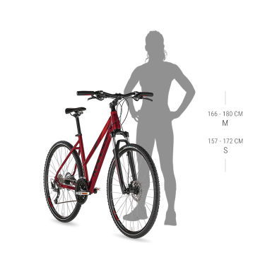 Женский велосипед KELLYS Pheebe 10 28" 2021