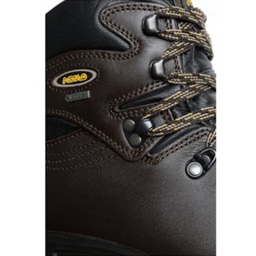 Ботинки Asolo Backpacking TPS 520 GV Evo Chestnut, мужской, коричневый, 2021-22, A11012_A635