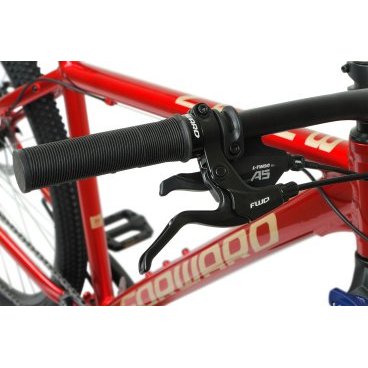 Горный велосипед FORWARD BURAN 29 2.0 DISC, красный/бежевый, 2021, VX23117